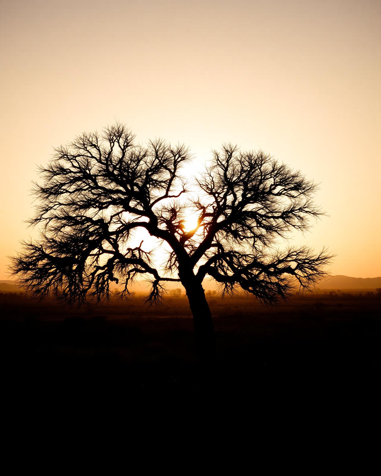 África